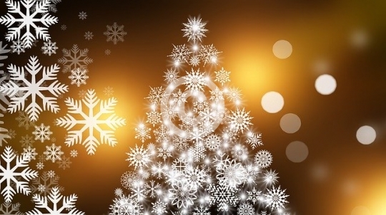 Feste (1)
